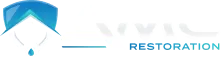 AMC Logo
